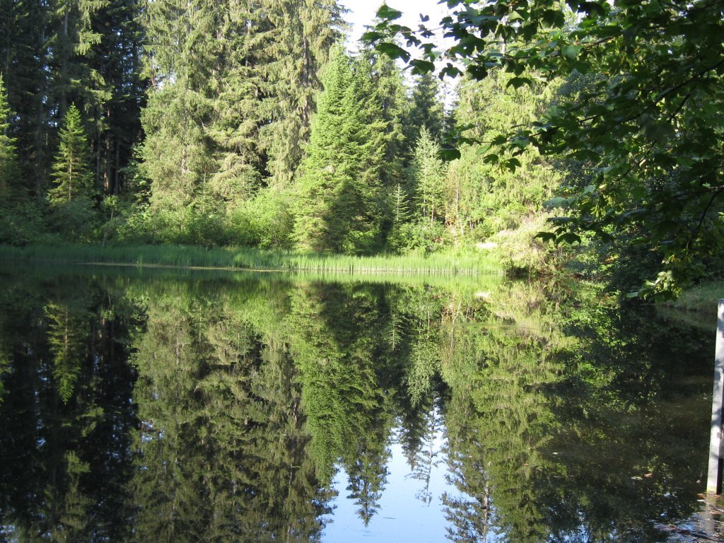 Bödelesee