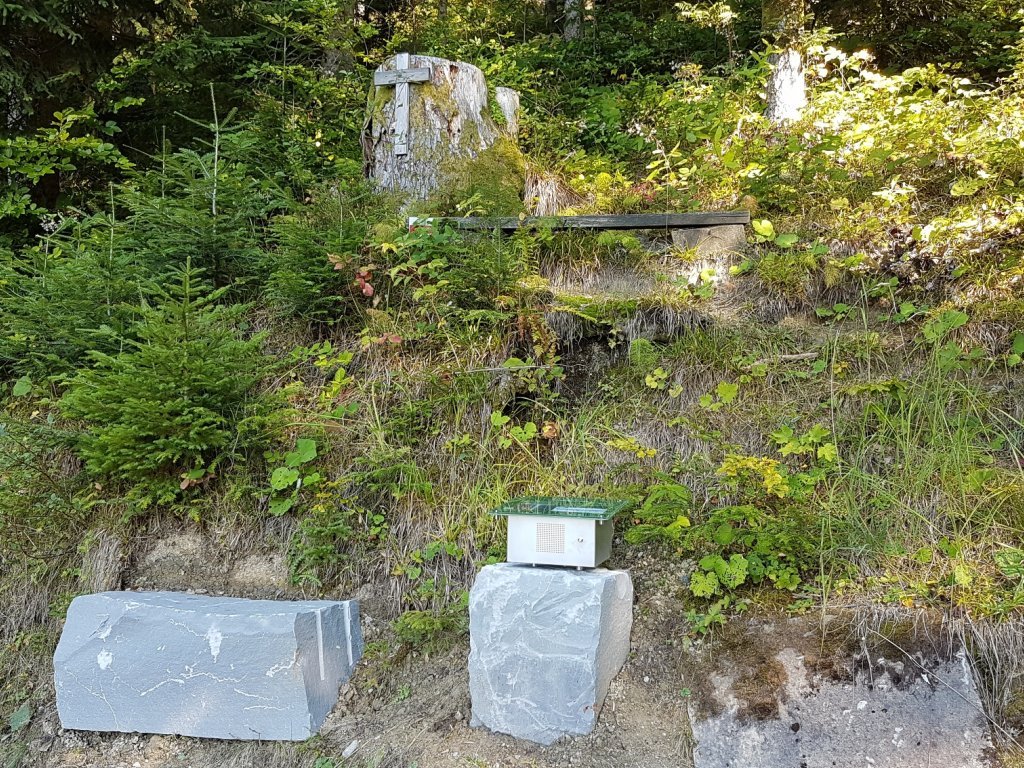 Musikwanderweg Brüggelekopf - Station