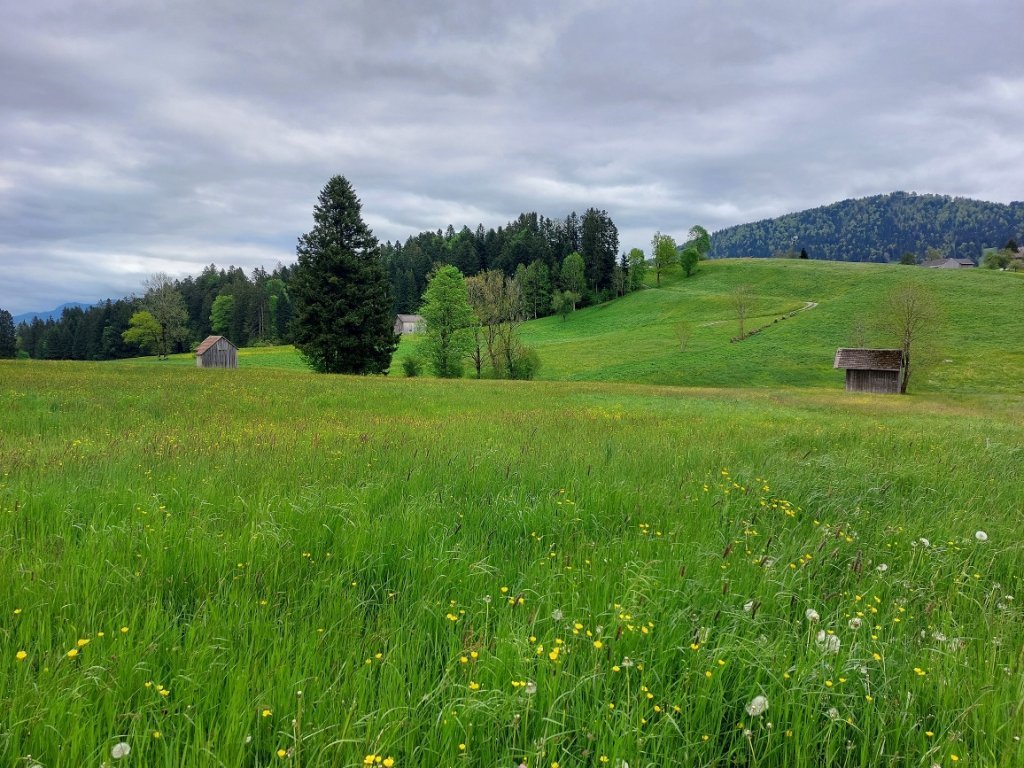 Gschwend Blick nach Rohnen