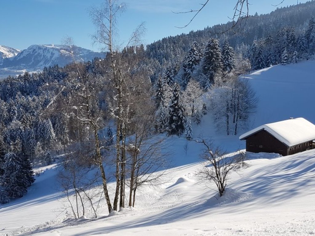 Winterwanderweg Richtung Kaltenrbunnen