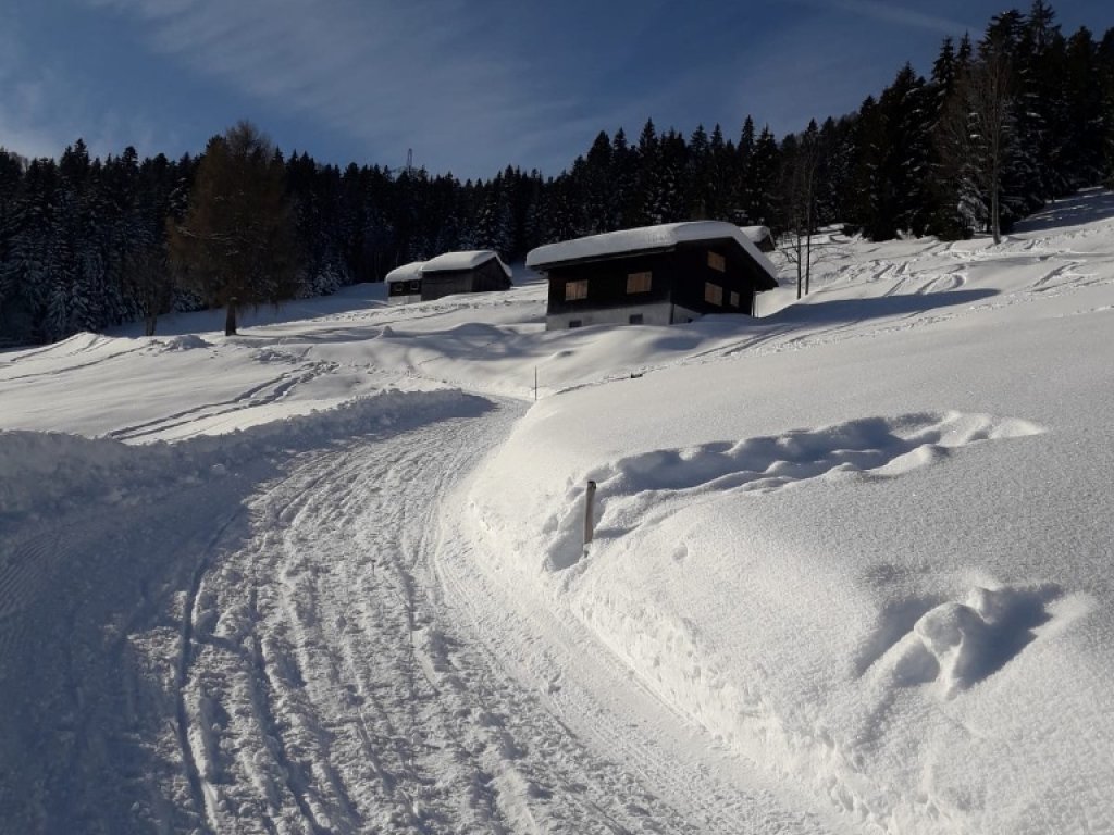 Sonniger Wanderweg auf den Brüggelekopf