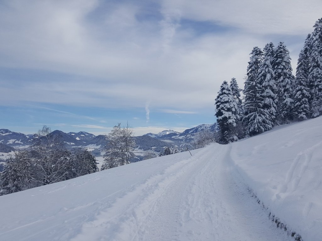 Winterwandern in Tannen mit Blick auf den Hohen Ifen