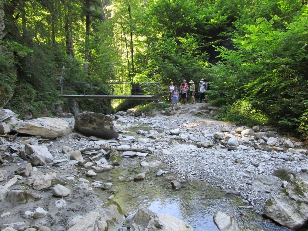 Dieser schattige Platz am Emmebach bietet sich für eine Rast an. Wir haben Wassertiere mit der Becherlupe gefangen und bestimmt.