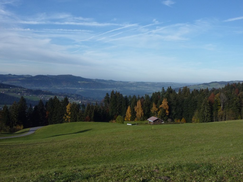 Parzelle Greban oberhalb von Alberschwende