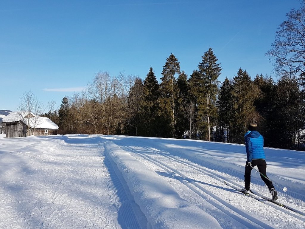 Loipe in Alberschwende