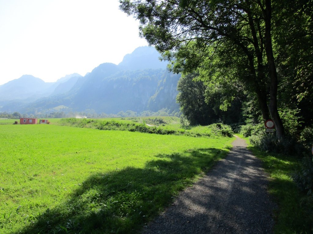 Start der Tour entlang des Berghanges auf dem Römerweg Richtung Hohenems