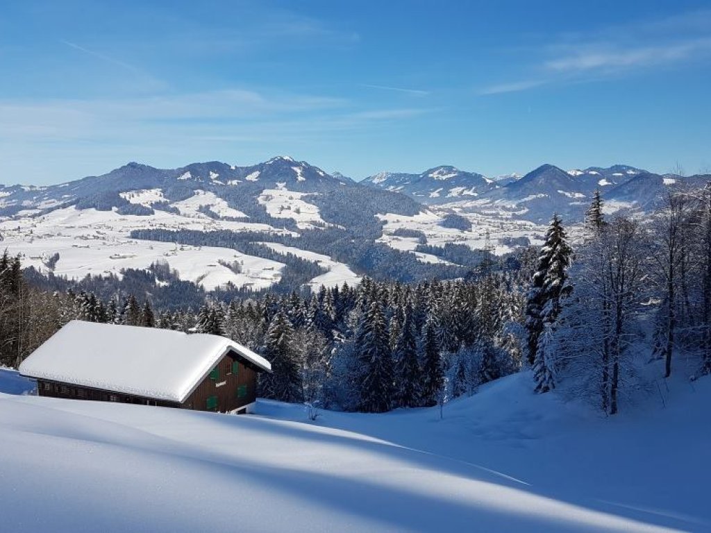 Wunderbare Aussicht in den Vorderwald