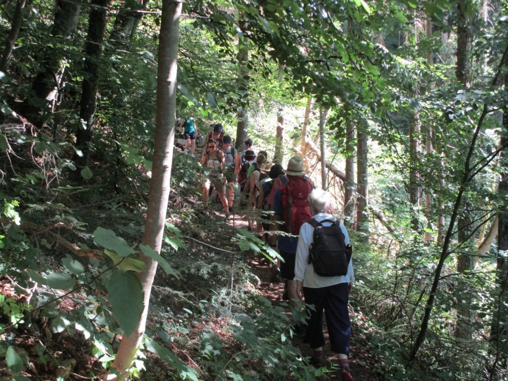 Schattiger Aufstieg zur Schlucht auf dem Meschatle