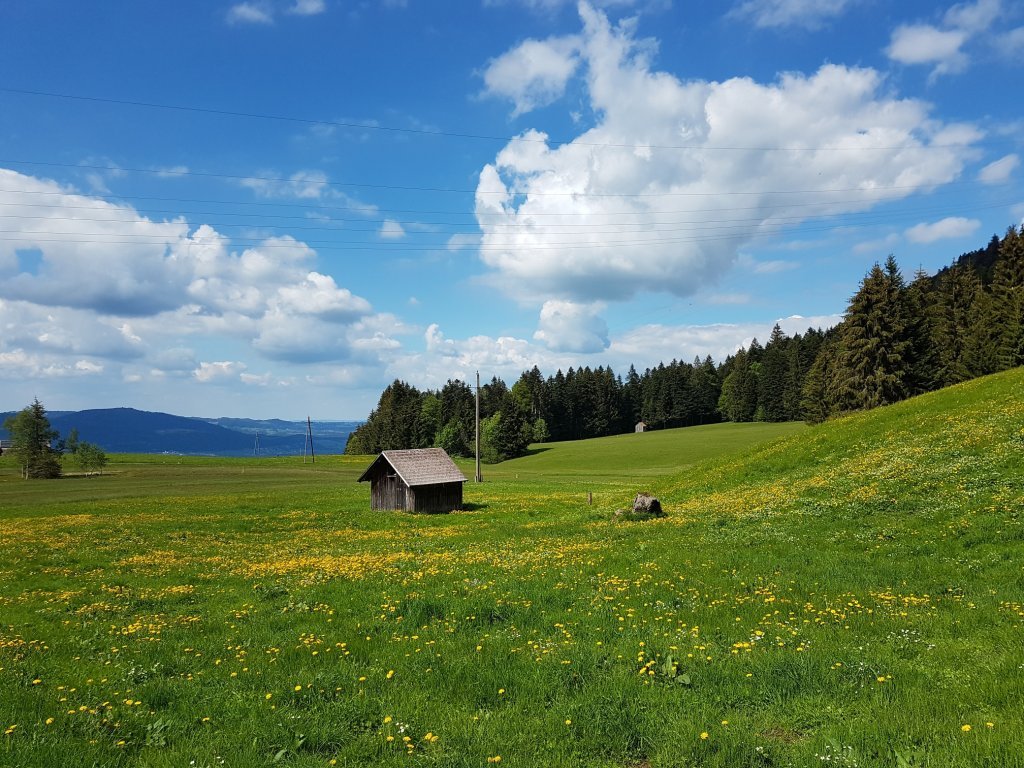 Oberhalb von Alberschwende