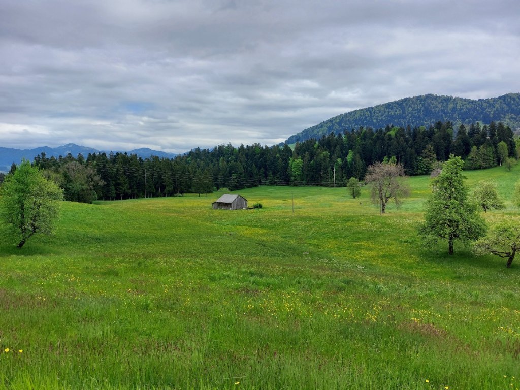 Gschwend Wiesen