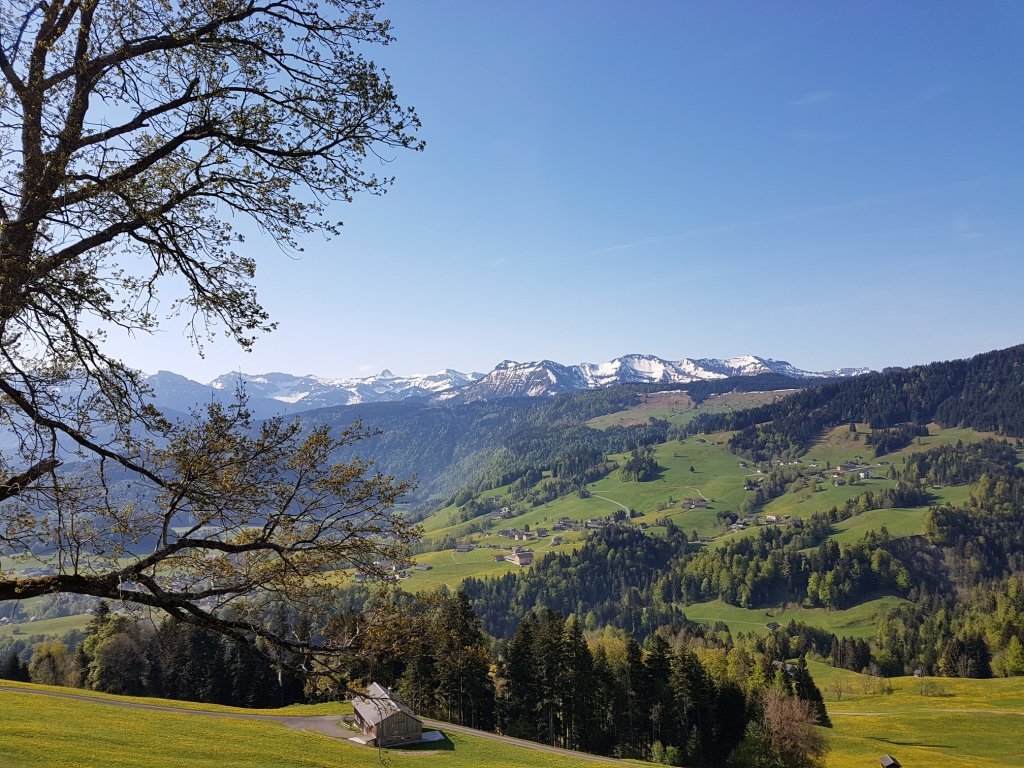 Ausblick vom Bergvorsäß