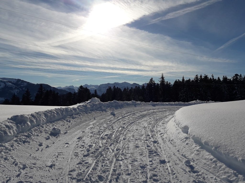 Super präparierte Rodelbahn am Brüggelekopf, Alberschwende